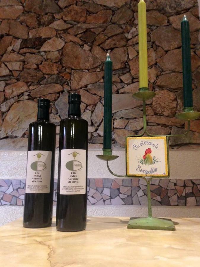 Albergo Ristorante Bergallo Tovo San Giacomo Exteriér fotografie